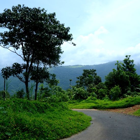 north kerala tour packages