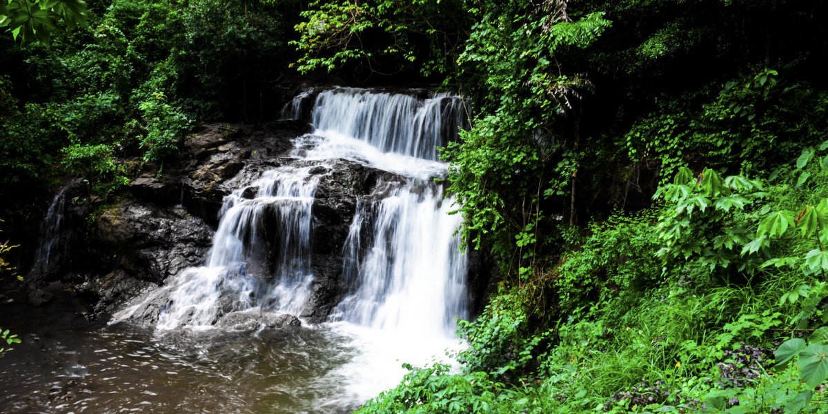 Ariyil Waterfalls Kannur